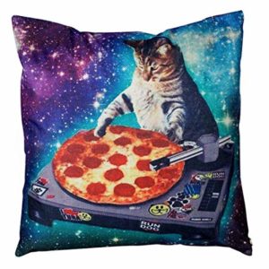 Chat DJ espace pizza
