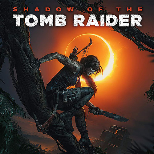 Shadow of the Tomb raider Jeux Vendeur Pro